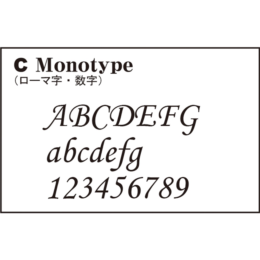 RippleFisher ɥ١ եå󥰥Хå