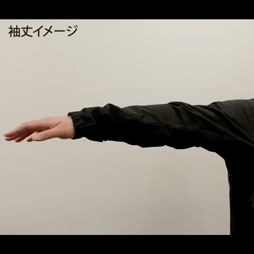 RF 른㥱å2024Massivo