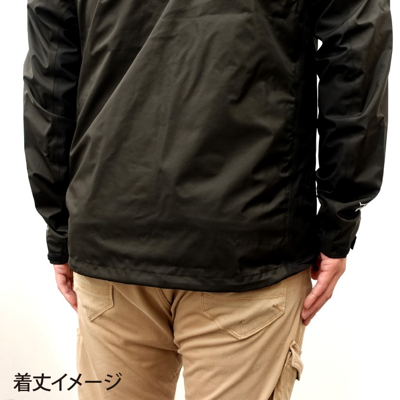 RF 른㥱å2024Massivo