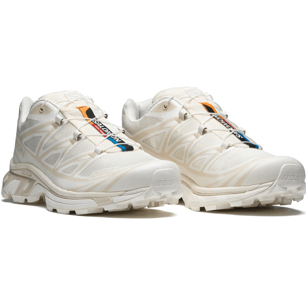SALOMON / XT6
