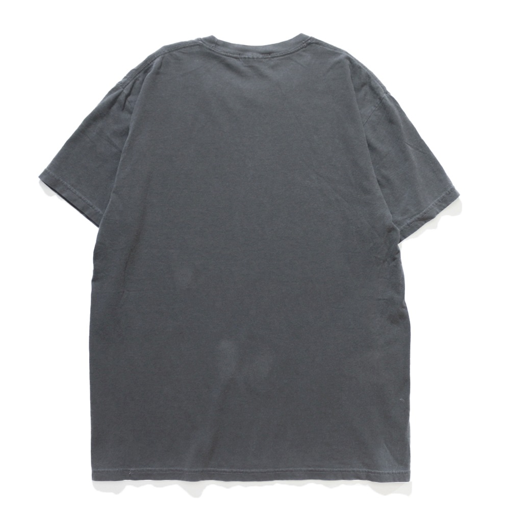 The NERDYS / Pigmented college T-shirt