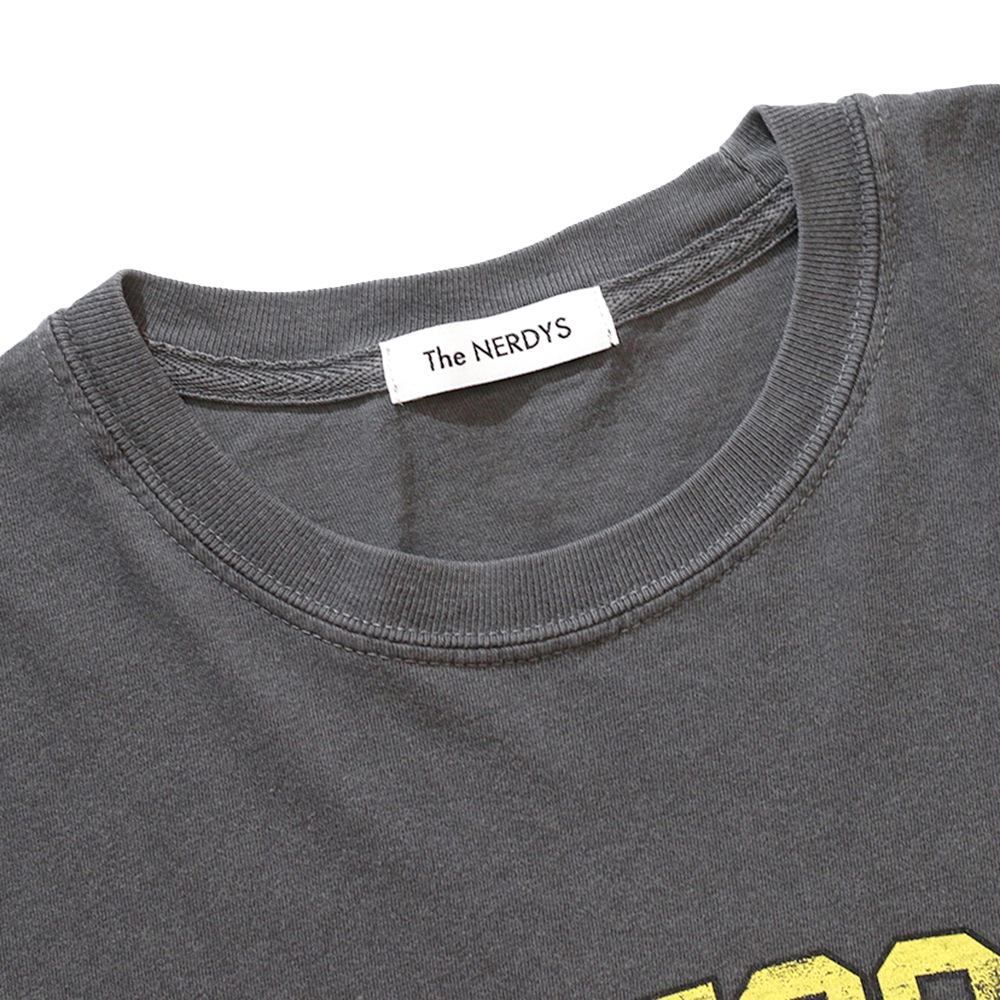 The NERDYS / Pigmented college T-shirt