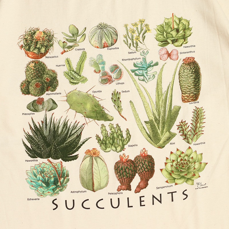 Graphic Tee / SUCCULENTS S/S Tee 