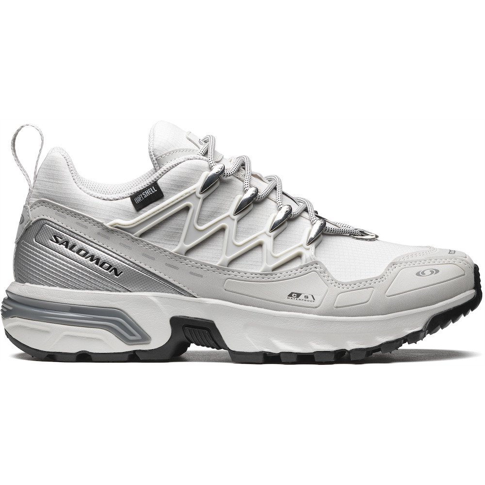 SALOMON / ACS + CSWP | SALOMON | BIN