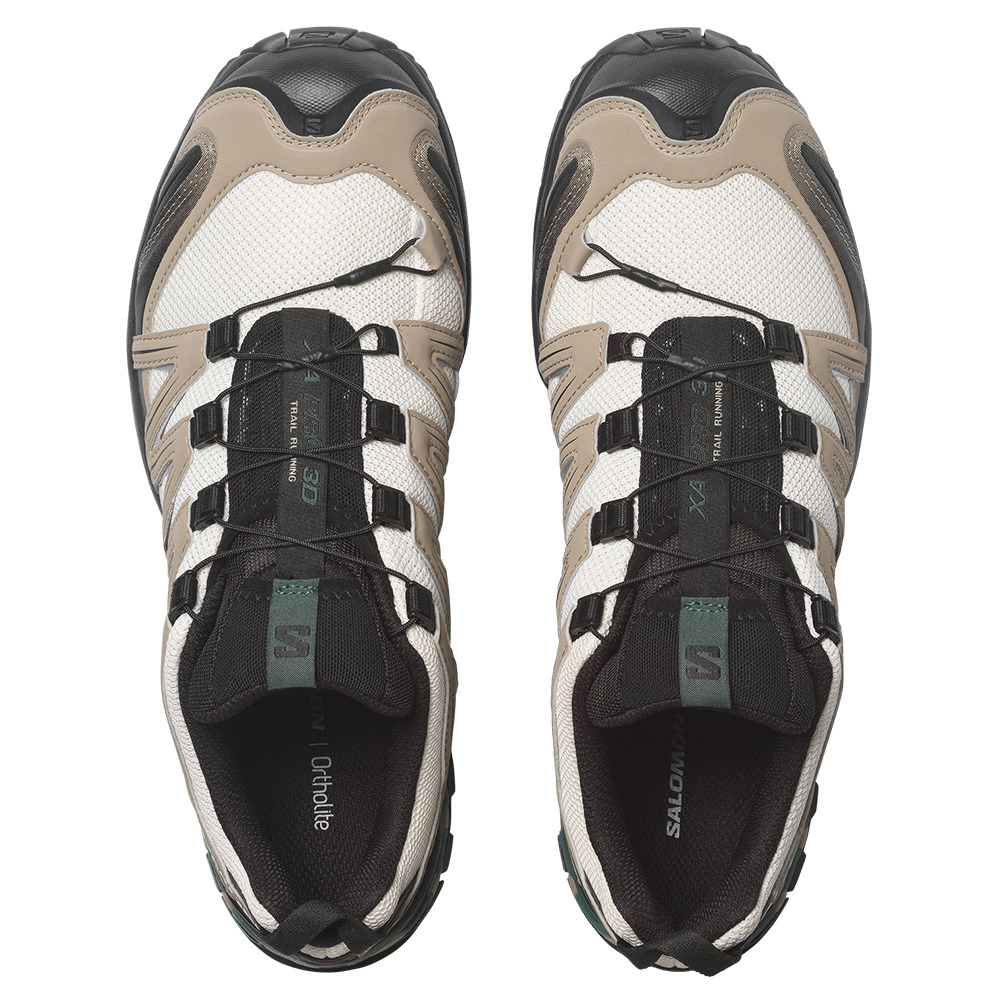 SALOMON / XA PRO 3D