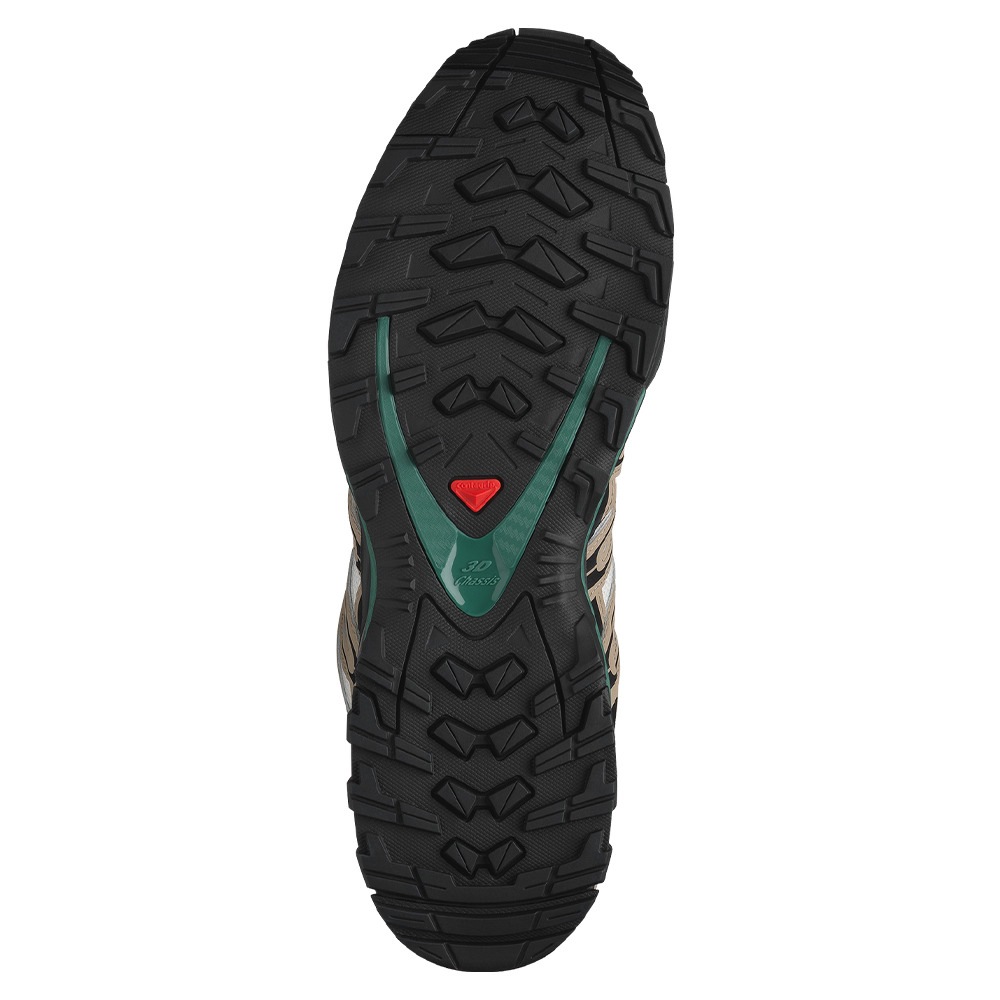 SALOMON / XA PRO 3D