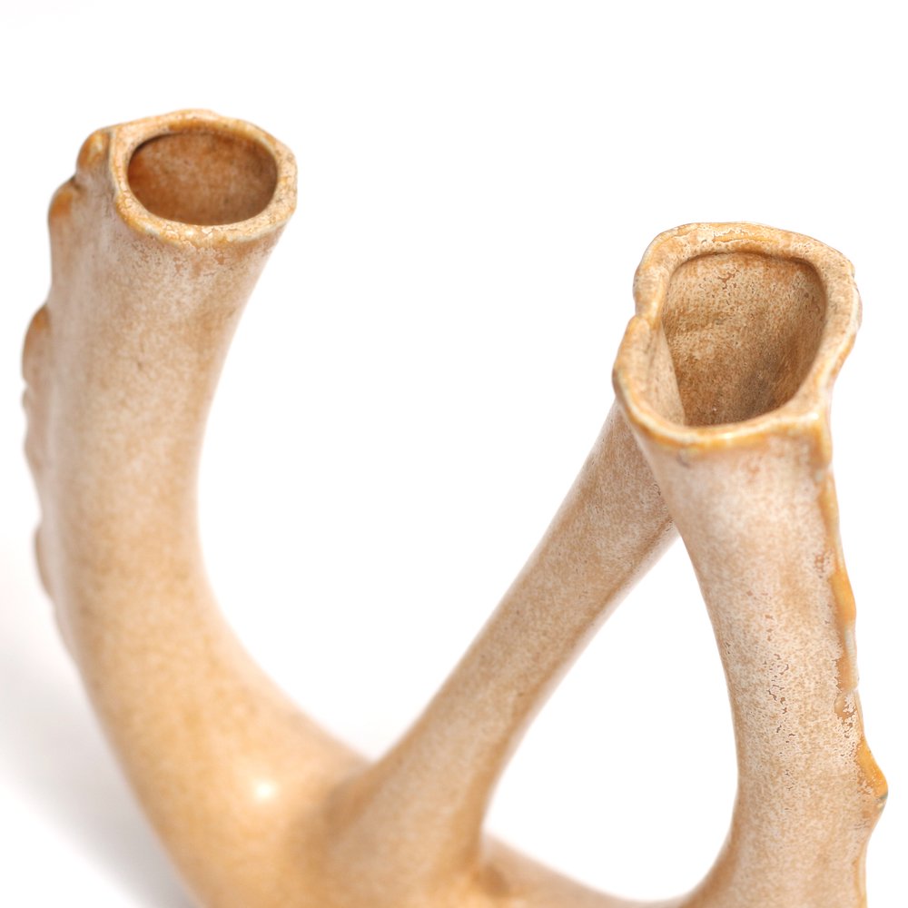 BIN ART /  Curvy Flower vase