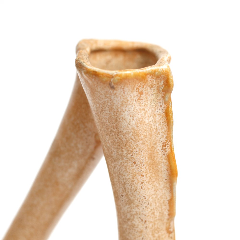 BIN ART /  Curvy Flower vase