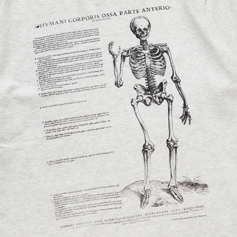 Graphic Tee / Vesalius's Skeleton S/S Tee 