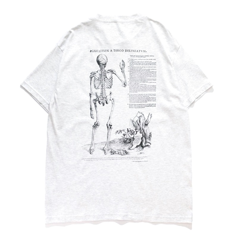 Graphic Tee / Vesalius's Skeleton S/S Tee 