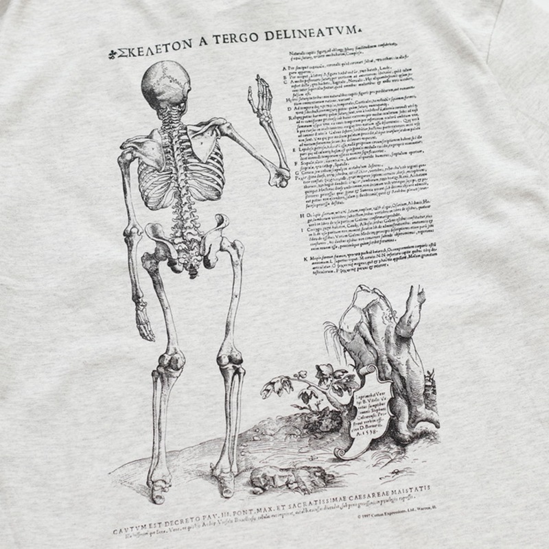 Graphic Tee / Vesalius's Skeleton S/S Tee 