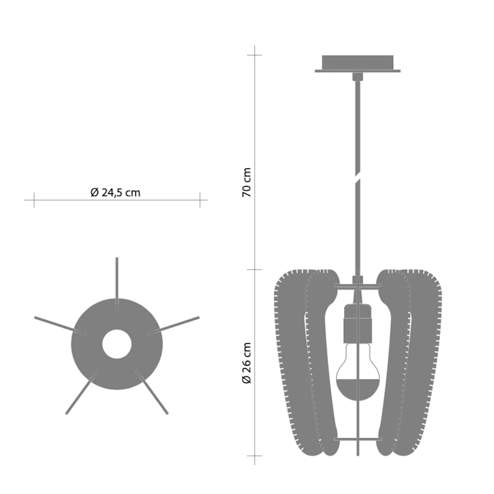 LAFABLIGHT / ARIOCA × ALCERIA