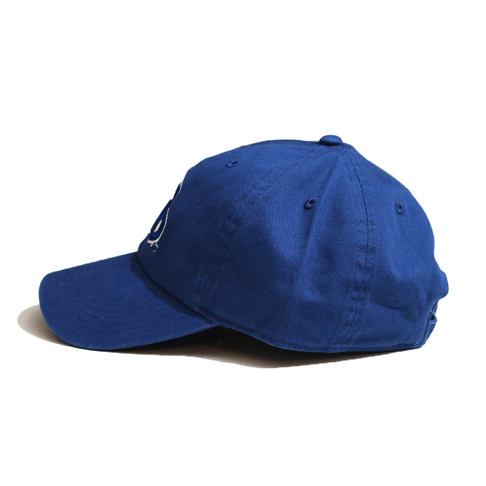 TAMANIWA / T EBISU CAP