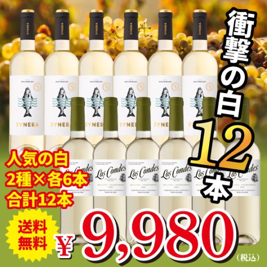 欧州 赤白 ワイン 12本セット 果実酒 フランス イタリア スペイン産 送料無料】スペインクラブ最強の辛口白を厳選！お得な12本セット