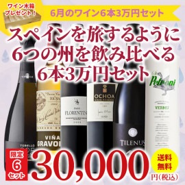 【限定6セット！41％OFF＆送料無料】＞6月におすすめのお得なワインセット＞ワインアドバイザーが選ぶ6本3万円セット＞ワイン木箱プレゼント付