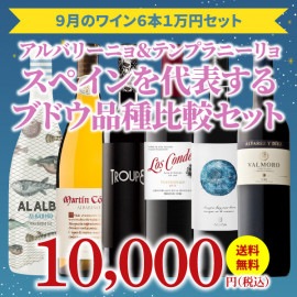 【34％OFF＆送料無料】＞9月におすすめのお得なワインセット＞ワインアドバイザーが選ぶ6本1万円セット