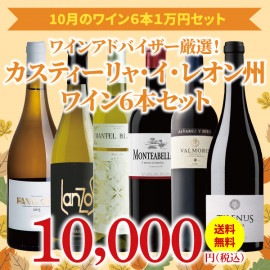 【35％OFF＆送料無料】＞10月におすすめのお得なワインセット＞ワインアドバイザーが選ぶ6本1万円セット