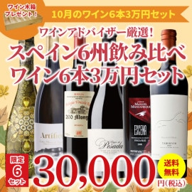 【限定6セット！44％OFF＆送料無料】＞10月におすすめのお得なワインセット＞ワインアドバイザーが選ぶ6本3万円セット＞ワイン木箱プレゼント付