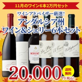 【38％OFF＆送料無料】＞11月におすすめのお得なワインセット＞ワインアドバイザーが選ぶ6本2万円セット