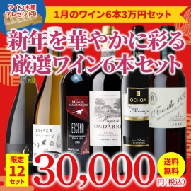 【限定12セット！43％OFF＆送料無料】＞1月におすすめのお得なワインセット＞ワインアドバイザーが選ぶ6本3万円セット＞ワイン木箱プレゼント付