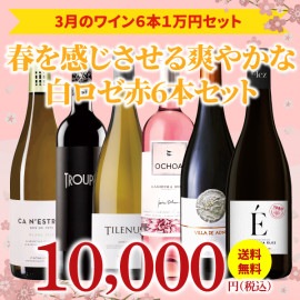 【37％OFF＆送料無料】＞3月におすすめのお得なワインセット＞ワインアドバイザーが選ぶ6本1万円セット