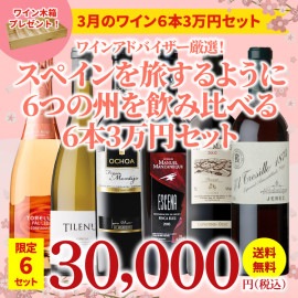 【限定6セット！40％OFF＆送料無料】＞3月におすすめのお得なワインセット＞ワインアドバイザーが選ぶ6本3万円セット＞ワイン木箱プレゼント付