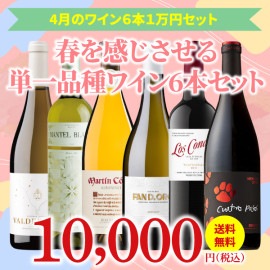 【35％OFF＆送料無料】＞4月におすすめのお得なワインセット＞ワインアドバイザーが選ぶ6本1万円セット
