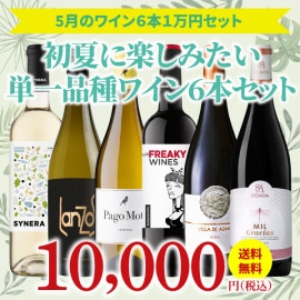 【19％OFF＆送料無料】＞5月におすすめのお得なワインセット＞ワインアドバイザーが選ぶ6本1万円セット