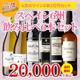 【40％OFF＆送料無料】＞6月におすすめのお得なワインセット＞ワインアドバイザーが選ぶ6本2万円セット＞ワイン木箱プレゼント付