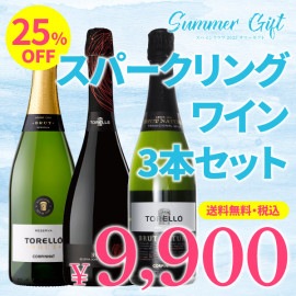 【箱代込・送料無料】＞2023サマーギフト＞夏の辛口スパークリングワイン3本セット＞【TC-99】＞ご注文は8月31日（木）まで