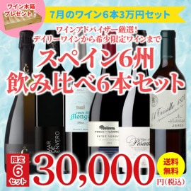 【限定6セット！35％OFF＆送料無料】＞7月におすすめのお得なワインセット＞ワインアドバイザーが選ぶ6本3万円セット＞ワイン木箱プレゼント付