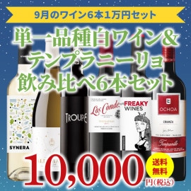 【26％OFF＆送料無料】＞9月におすすめのお得なワインセット＞ワインアドバイザーが選ぶ6本1万円セット