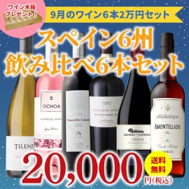 【33％OFF＆送料無料】＞9月におすすめのお得なワインセット＞ワインアドバイザーが選ぶ6本2万円セット＞ワイン木箱プレゼント付