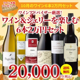 【41％OFF＆送料無料】＞10月におすすめのお得なワインセット＞ワインアドバイザーが選ぶ6本2万円セット＞ワイン木箱プレゼント付