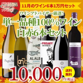 【34％OFF＆送料無料】＞11月におすすめのお得なワインセット＞ワインアドバイザーが選ぶ6本1万円セット＞オチョア・チョコレート付