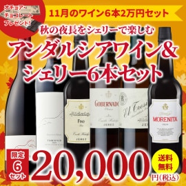 【限定6セット!38％OFF＆送料無料】＞11月におすすめのお得なワインセット＞ワインアドバイザーが選ぶ6本2万円セット＞オチョア・チョコレート付