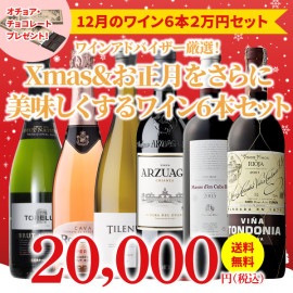 【39％OFF＆送料無料】＞12月におすすめのお得なワインセット＞ワインアドバイザーが選ぶ6本2万円セット＞オチョア・チョコレート付