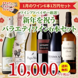 【37％OFF＆送料無料】＞1月におすすめのお得なワインセット＞ワインアドバイザーが選ぶ6本1万円セット＞オチョア・チョコレート付