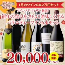 【35％OFF＆送料無料】＞1月におすすめのお得なワインセット＞ワインアドバイザーが選ぶ6本2万円セット＞オチョア・チョコレート付