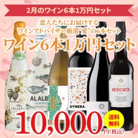 【35％OFF＆送料無料】＞2月におすすめのお得なワインセット＞ワインアドバイザーが選ぶ6本1万円セット