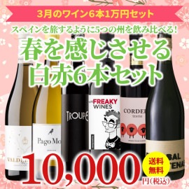 【37％OFF＆送料無料】＞3月におすすめのお得なワインセット＞ワインアドバイザーが選ぶ6本1万円セット