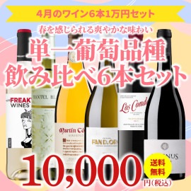 【35％OFF＆送料無料】＞4月におすすめのお得なワインセット＞ワインアドバイザーが選ぶ6本1万円セット