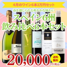 【37％OFF＆送料無料】＞4月におすすめのお得なワインセット＞ワインアドバイザーが選ぶ6本2万円セット