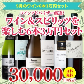 【37％OFF＆送料無料】＞5月におすすめのお得なワインセット＞ワインアドバイザーが選ぶ6本3万円セット