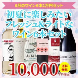 【35％OFF＆送料無料】＞6月におすすめのお得なワインセット＞ワインアドバイザーが選ぶ6本1万円セット