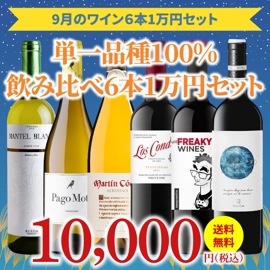 【30％OFF＆送料無料】＞9月におすすめのお得なワインセット＞ワインアドバイザーが選ぶ6本1万円セット