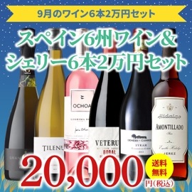 【32％OFF＆送料無料】＞9月におすすめのお得なワインセット＞ワインアドバイザーが選ぶ6本2万円セット