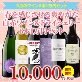 【35％OFF＆送料無料】＞3月におすすめのお得なワインセット＞ワインアドバイザーが選ぶ6本1万円セット