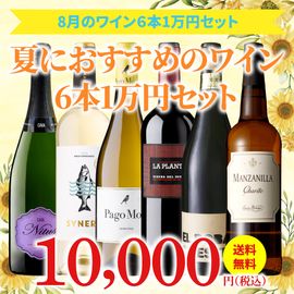 お買い得セットワイン｜スペインワイン・食材の通販オンライン