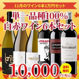 43OFF̵ۡ11ˤΤʥ磻󥻥åȡ磻󥢥ɥХ61ߥå